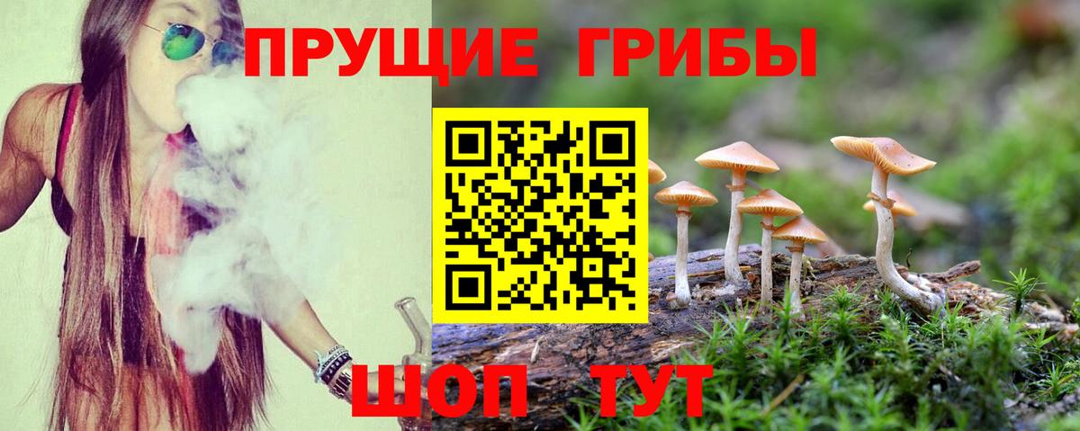 Галлюциногенные грибы MAGIC MUSHROOMS  Вход с VPN  Мелеуз 